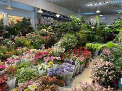 -双季花艺园艺市场(浦东店)