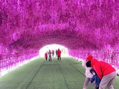 -绿野森林乐园冰雪季