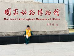 -金宝幼儿园(通州校区)