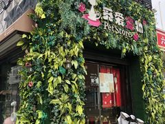 -糯米喵星人总部直营旗舰店·猫舍·幼猫出售