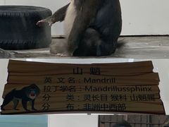 -西安秦岭野生动物园
