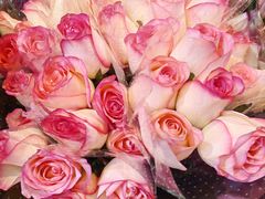 -循礼门鲜花花市(武汉循礼门店)