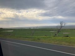 -企鹅岛