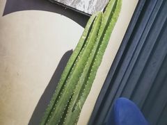 -Wei菋·Le Bistrot