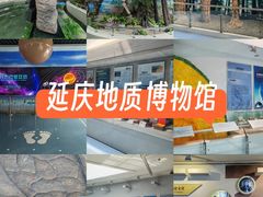 -延庆地质公园博物馆