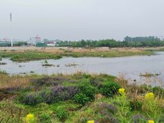 -白鹭湾湿地公园