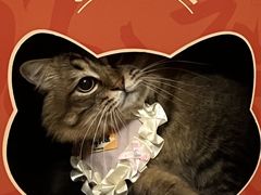 -鱼上·烤鱼(万象城店)