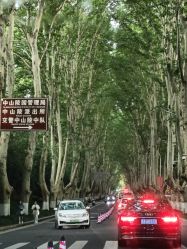 -Dr.林醫生产后修复·配方产康(南京江宁万达店)