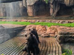 -海南热带野生动植物园