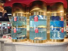 -蜀滋香鲜鱼美蛙火锅(339店)