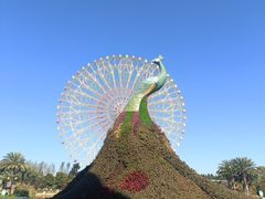 -七彩云南欢乐世界