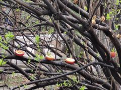 -昆明动物园