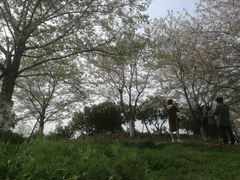 -滆湖低碳生态公园
