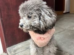 -观桥阁(锦溪店)