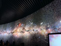 -贝林大翅鲸简餐厅(国家海洋博物馆店)