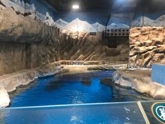 -香港海洋公园