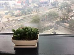 -同步齿科·数字化正畸种植口腔中心(珠海店)