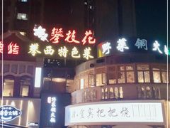 -攀枝花野菜铜火锅(万科凯德店)