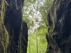 -牛背梁国家森林公园