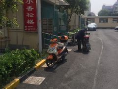 -高桥小香松糕