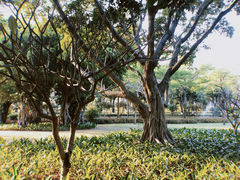 -白鹭洲公园