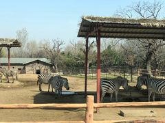 -西安秦岭野生动物园