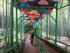 -陶祖圣境风景区