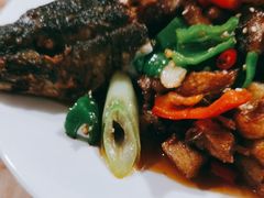 -煲来饱去冷水鱼
