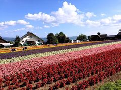 -富田农场