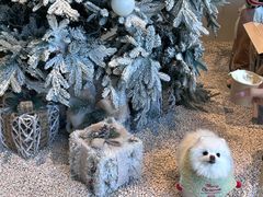 -J Create城市露营咖啡·简餐·宠物(上海动物园店)