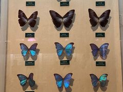 -陕西自然博物馆