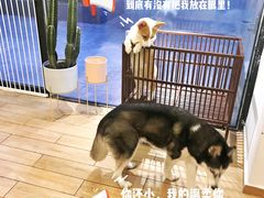 -Double Rui宠物酒店