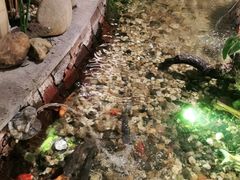 -顺峰(农展馆店)