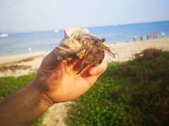 -白沙湾海滩