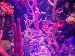 -沈阳海洋探索中心