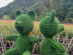 -贵阳市花溪国家城市湿地公园