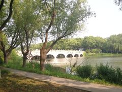 -昆山城市生态森林公园