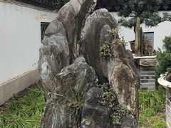 -上海醉白池公园