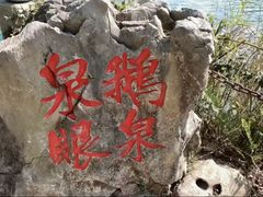 -靖西鹅泉风景区