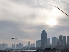 -星海广场