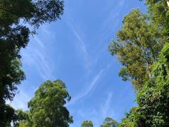 -火炉山森林公园