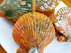 -南蚝小贝海鲜特色餐厅(南澳岛店)