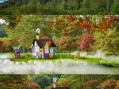 -田野绿世界