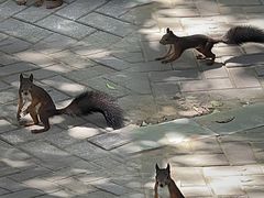 -国家植物园南园