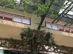 -呀诺达热带雨林