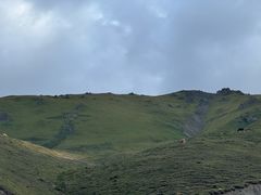 -新疆那拉提国家旅游度假区