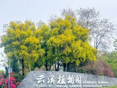 -云溪植物园