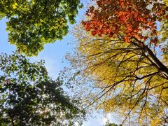 -人民公园(罗湖区)