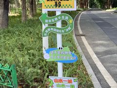 -东莞植物园