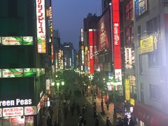 -秋叶原电器街